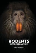 Layarkaca21 LK21 Dunia21 Nonton Film Rodents of Unusual Size (2017) Subtitle Indonesia Streaming Movie Download