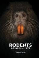 Layarkaca21 LK21 Dunia21 Nonton Film Rodents of Unusual Size (2017) Subtitle Indonesia Streaming Movie Download