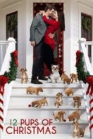 Layarkaca21 LK21 Dunia21 Nonton Film 12 Pups of Christmas (2019) Subtitle Indonesia Streaming Movie Download