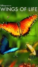 Nonton Film Wings of Life (2011) Subtitle Indonesia Streaming Movie Download