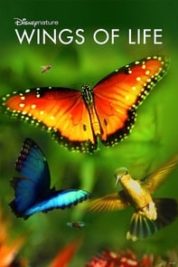 Layarkaca21 LK21 Dunia21 Nonton Film Wings of Life (2011) Subtitle Indonesia Streaming Movie Download