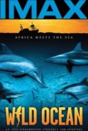 Layarkaca21 LK21 Dunia21 Nonton Film Wild Ocean (2008) Subtitle Indonesia Streaming Movie Download