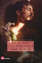 Nonton Film At Night All the Cats Are Black (2023) Subtitle Indonesia Streaming Movie Download