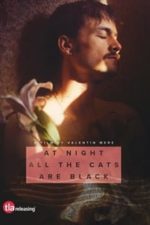 At Night All the Cats Are Black (2023)