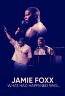 Layarkaca21 LK21 Dunia21 Nonton Film Jamie Foxx: What Had Happened Was… (2024) Subtitle Indonesia Streaming Movie Download