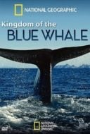 Layarkaca21 LK21 Dunia21 Nonton Film Kingdom of the Blue Whale (2009) Subtitle Indonesia Streaming Movie Download