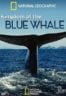 Layarkaca21 LK21 Dunia21 Nonton Film Kingdom of the Blue Whale (2009) Subtitle Indonesia Streaming Movie Download