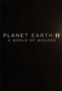 Layarkaca21 LK21 Dunia21 Nonton Film Planet Earth II: A World of Wonder (2017) Subtitle Indonesia Streaming Movie Download