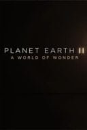 Layarkaca21 LK21 Dunia21 Nonton Film Planet Earth II: A World of Wonder (2017) Subtitle Indonesia Streaming Movie Download