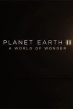 Planet Earth II: A World of Wonder (2017)