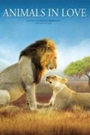 Layarkaca21 LK21 Dunia21 Nonton Film Animals in Love (2007) Subtitle Indonesia Streaming Movie Download