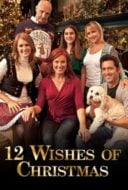 Layarkaca21 LK21 Dunia21 Nonton Film 12 Wishes of Christmas (2011) Subtitle Indonesia Streaming Movie Download