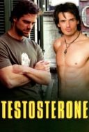 Layarkaca21 LK21 Dunia21 Nonton Film Testosterone (2003) Subtitle Indonesia Streaming Movie Download