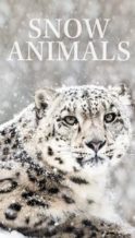 Nonton Film Snow Animals (2019) Subtitle Indonesia Streaming Movie Download