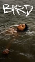Nonton Film Bird (2024) Subtitle Indonesia Streaming Movie Download
