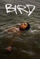 Layarkaca21 LK21 Dunia21 Nonton Film Bird (2024) Subtitle Indonesia Streaming Movie Download