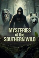 Poster Film Mysteries of the Southern Wild (2024)