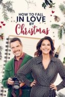 Layarkaca21 LK21 Dunia21 Nonton Film How to Fall in Love by Christmas (2023) Subtitle Indonesia Streaming Movie Download