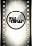 Layarkaca21 LK21 Dunia21 Nonton Film What Is Cinema? (2013) Subtitle Indonesia Streaming Movie Download