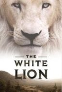 Layarkaca21 LK21 Dunia21 Nonton Film White Lion (2010) Subtitle Indonesia Streaming Movie Download