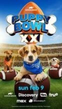 Nonton Film Puppy Bowl XXI (2025) Subtitle Indonesia Streaming Movie Download