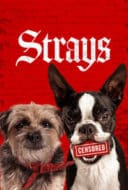 Layarkaca21 LK21 Dunia21 Nonton Film Strays (2023) Subtitle Indonesia Streaming Movie Download