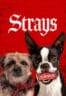 Layarkaca21 LK21 Dunia21 Nonton Film Strays (2023) Subtitle Indonesia Streaming Movie Download