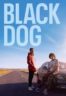 Layarkaca21 LK21 Dunia21 Nonton Film Black Dog (2023) Subtitle Indonesia Streaming Movie Download