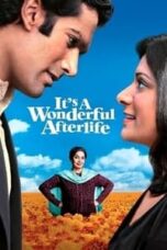 Poster Film It’s a Wonderful Afterlife (2010)