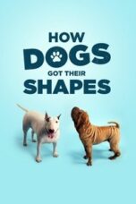 Layarkaca21 LK21 Dunia21 Nonton Film How Dogs Got Their Shapes (2016) Subtitle Indonesia Streaming Movie Download