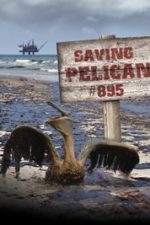 Saving Pelican 895 (2011)