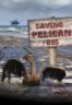 Layarkaca21 LK21 Dunia21 Nonton Film Saving Pelican 895 (2011) Subtitle Indonesia Streaming Movie Download