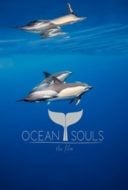 Layarkaca21 LK21 Dunia21 Nonton Film Ocean Souls (2021) Subtitle Indonesia Streaming Movie Download
