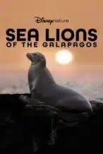 Nonton Film Sea Lions of the Galapagos (2025) Subtitle Indonesia Streaming Movie Download