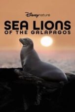 Poster Film Sea Lions of the Galapagos (2025)