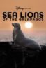Layarkaca21 LK21 Dunia21 Nonton Film Sea Lions of the Galapagos (2025) Subtitle Indonesia Streaming Movie Download