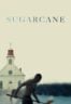 Layarkaca21 LK21 Dunia21 Nonton Film Sugarcane (2024) Subtitle Indonesia Streaming Movie Download