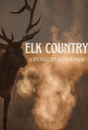 Layarkaca21 LK21 Dunia21 Nonton Film Elk Country (2025) Subtitle Indonesia Streaming Movie Download Layarkaca21 LK21 Dunia21 Nonton Film Elk Country (2025) Subtitle Indonesia Streaming Movie Download