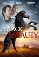 Layarkaca21 LK21 Dunia21 Nonton Film Black Beauty (2015) Subtitle Indonesia Streaming Movie Download Layarkaca21 LK21 Dunia21 Nonton Film Black Beauty (2015) Subtitle Indonesia Streaming Movie Download