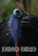 Layarkaca21 LK21 Dunia21 Nonton Film Dino Bird (2017) Subtitle Indonesia Streaming Movie Download Layarkaca21 LK21 Dunia21 Nonton Film Dino Bird (2017) Subtitle Indonesia Streaming Movie Download