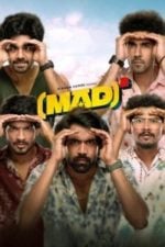 Mad Square (2025)