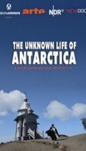 Nonton Film The Unknown Life of Antarctica (2019) Subtitle Indonesia Streaming Movie Download