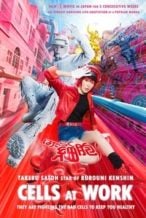 Nonton Film Cells at Work! (2024) Subtitle Indonesia Streaming Movie Download