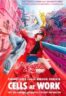 Layarkaca21 LK21 Dunia21 Nonton Film Cells at Work! (2024) Subtitle Indonesia Streaming Movie Download
