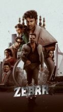 Nonton Film Zebra (2024) Subtitle Indonesia Streaming Movie Download