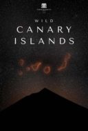 Layarkaca21 LK21 Dunia21 Nonton Film Wild Canary Islands (2021) Subtitle Indonesia Streaming Movie Download Layarkaca21 LK21 Dunia21 Nonton Film Wild Canary Islands (2021) Subtitle Indonesia Streaming Movie Download