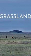 Nonton Film Grassland (2023) Subtitle Indonesia Streaming Movie Download