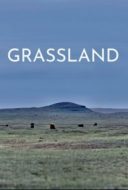 Layarkaca21 LK21 Dunia21 Nonton Film Grassland (2023) Subtitle Indonesia Streaming Movie Download Layarkaca21 LK21 Dunia21 Nonton Film Grassland (2023) Subtitle Indonesia Streaming Movie Download