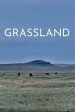 Layarkaca21 LK21 Dunia21 Nonton Film Grassland (2023) Subtitle Indonesia Streaming Movie Download