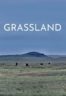 Layarkaca21 LK21 Dunia21 Nonton Film Grassland (2023) Subtitle Indonesia Streaming Movie Download
